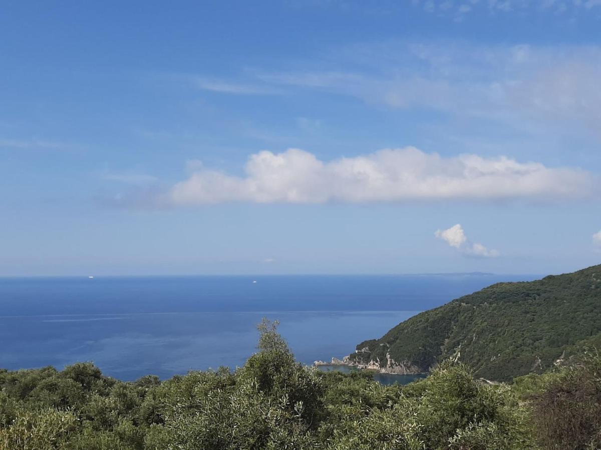 Zoe'S Studios Parga Esterno foto